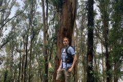 352B877F-F1D8-46B9-B4BD-A77AC656641F